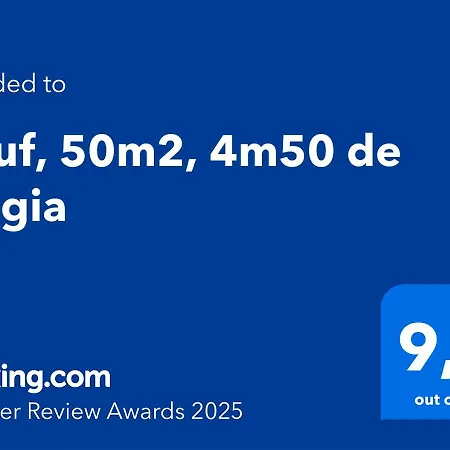 公寓 Neuf, 50m2, 4m50 De Loggia